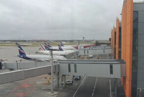 «Бросайте детей, если они Вам не по карману»