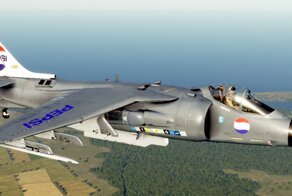 Характер обещания должен быть очевиден любому разумному человеку