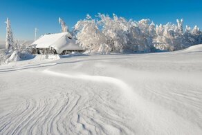 Интересные факты про зиму и снег