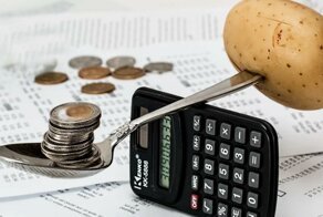 Из-за снижения цен на картошку Минтруда предложило уменьшить прожиточный минимум