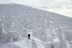 Cнежные монстры на горе Дзао в Японии