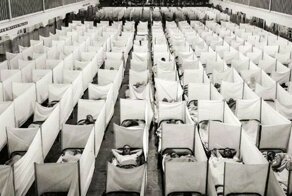 Испанский грипп