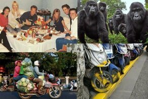 Смешные и просто забавные фотографии, чтобы сделать ваш день чуточку лучше