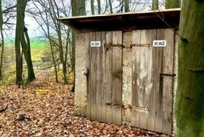 Парейдолия вокруг нас