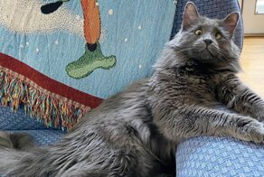 Беларус из Сан-Франциско стал звездой интернета