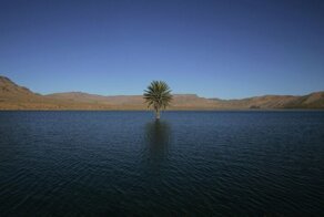 Сахара 5000 лет назад: мир без песка