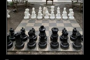 Веселые и жизненные демотиваторы для хорошего настроения