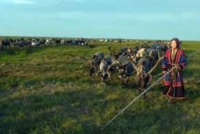 НЕДАРМА – путь, дороги семьи Худи