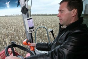 Парадоксы аграрной статистики