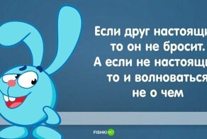 Смешарики: Недетские цитаты детского мультсериала