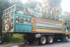 Его последняя поездка на мопеде