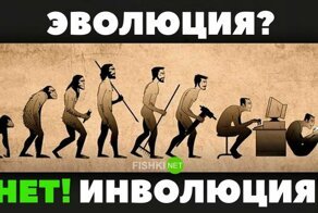 Смешные картинки для поднятия настроения