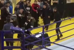 В Нур-Султане турнир ММА завершился массовой дракой
