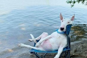 С добрым утром