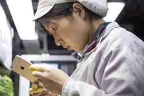 Теперь в Китае некому собирать Iphone из-за коронавируса