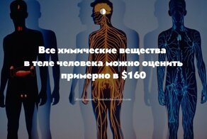 20 классных коротких фактов о человеке и человечестве