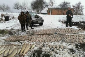На все деньги: «сетевики» вычерпали из озера гору рыбы, теперь их могут посадить