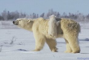 Гифки разные