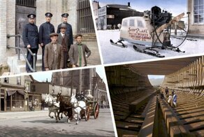 Америка в цвете