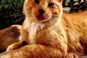 С добрым утром