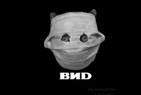 Коронавирусу посвящается: в Сети придумывают фотожабы с котом в маске, и получается феерично
