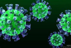 Коронавирус: почему корона присутствует в названии опасной разновидности ОРВИ?