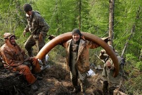Черные копатели достают состояния из якутской мерзлоты