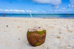 Кокос - это не орех