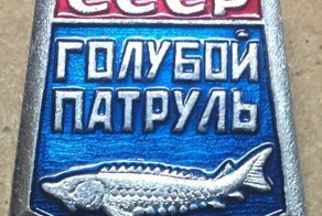 Такие награды!