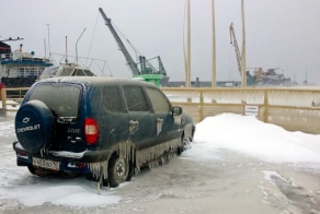 Вот и пришла зима (7 фото)