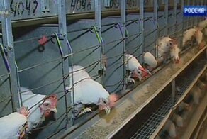 В Среднеуральске приостановило работу градообразующее предприятие