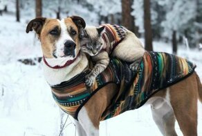 С добрым утром