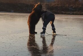 "Васька, ты меня не убьёшь?": катание на коньках по-русски