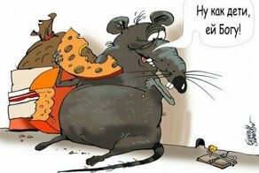 Крысы с ТЕЛЕ2