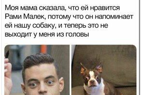 Смешные комментарии и картинки из соцсетей