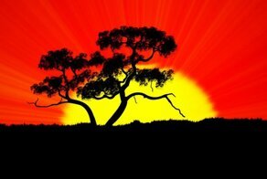 Особенности проведения геологической съемки в африканской республике Гана