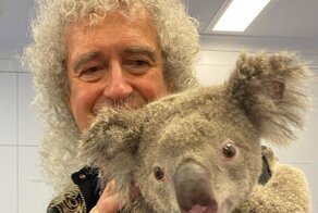 Гитарист Queen устроил концерт для спасённых от пожара коал