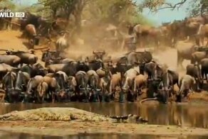 Кубики на февраль #2