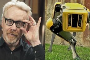 Адам Сэвидж нашёл необычное применение роботу-собаке