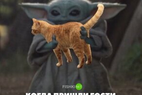 Смешные картинки из соц сетей