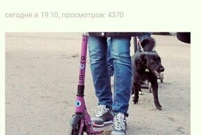 Смешные комментарии и картинки из соцсетей