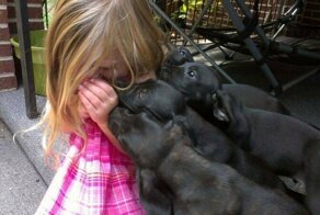 С добрым утром!