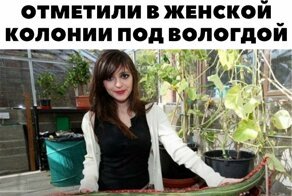 Смешные комментарии и картинки из соцсетей