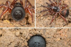 Смешные комментарии и картинки из соцсетей