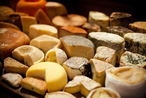 Польза сыра для организма человека