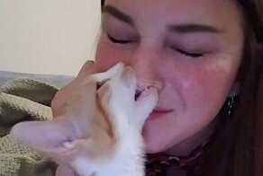 20 забавных хвостатых, которые решились на беспощадный "кусь"