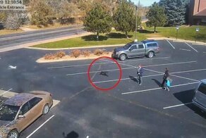 Жуткое видео: собака напала на 5-летнюю девочку