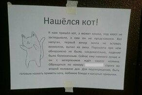 13 объявлений посвященных животным