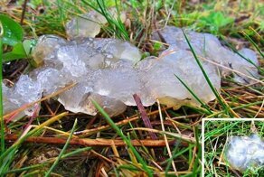 6 явлений природы, которые пока не по зубам учёным