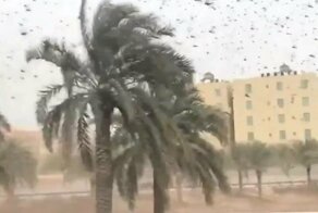 Рой саранчи накрыл Саудовскую Аравию
